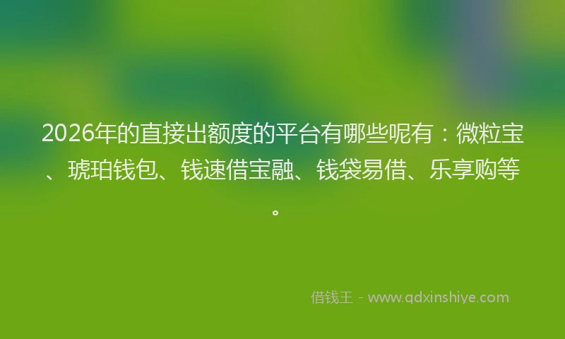 2026年的直接出额度的平台有哪些呢有：微粒宝、琥珀钱包、钱速借宝融、钱袋易借、乐享购等。