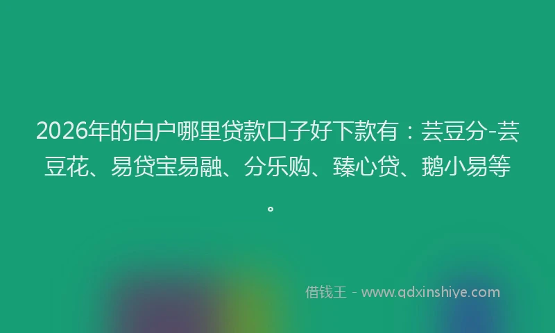 2026年的白户哪里贷款口子好下款有：芸豆分-芸豆花、易贷宝易融、分乐购、臻心贷、鹅小易等。