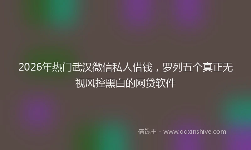 2026年热门武汉微信私人借钱，罗列五个真正无视风控黑白的网贷软件