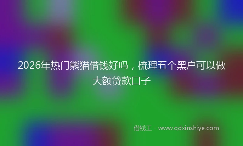 2026年热门熊猫借钱好吗,梳理五个黑户可以做大额贷款口子