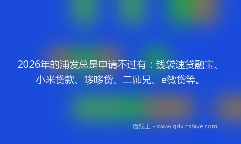 2026年的浦发总是申请不过有：钱袋速贷融宝、小米贷款、哆哆贷、二师兄、e微贷等。