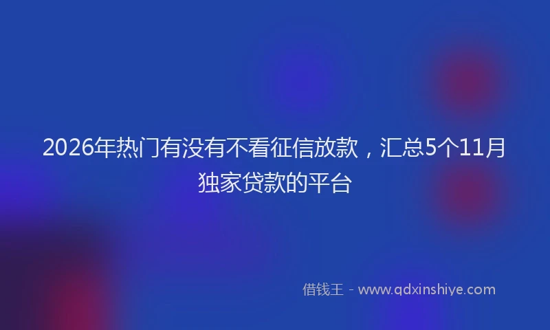 2026年热门有没有不看征信放款，汇总5个11月独家贷款的平台