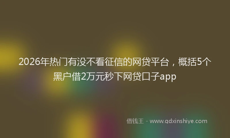 2026年热门有没不看征信的网贷平台，概括5个黑户借2万元秒下网贷口子app