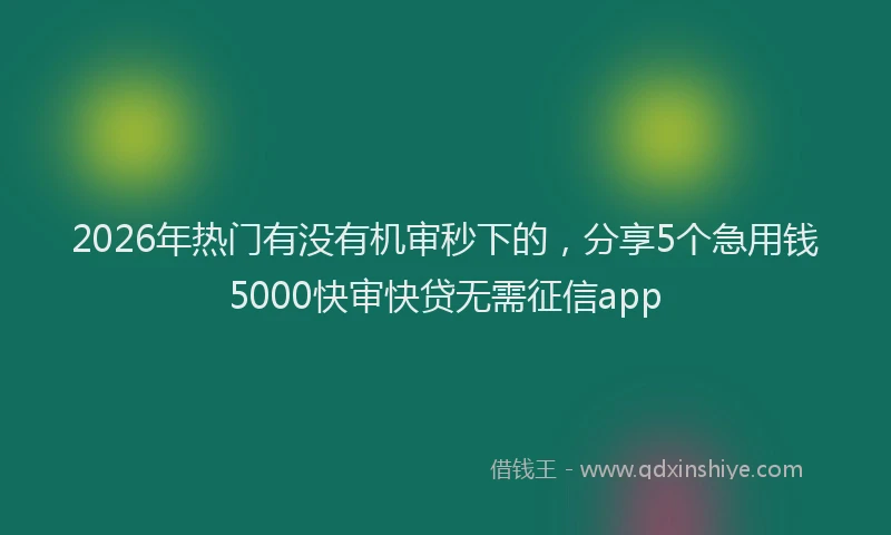 2026年热门有没有机审秒下的，分享5个急用钱5000快审快贷无需征信app