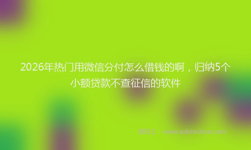 2026年热门用微信分付怎么借钱的啊,归纳5个小额贷款不查征信的软件