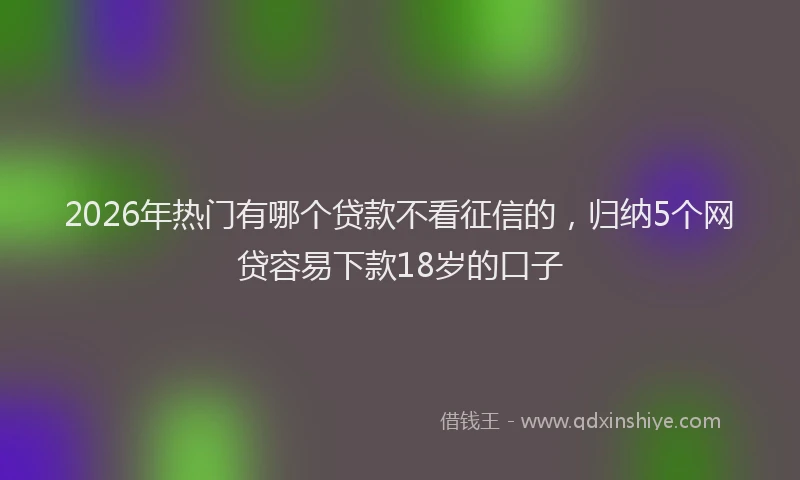 2026年热门有哪个贷款不看征信的，归纳5个网贷容易下款18岁的口子