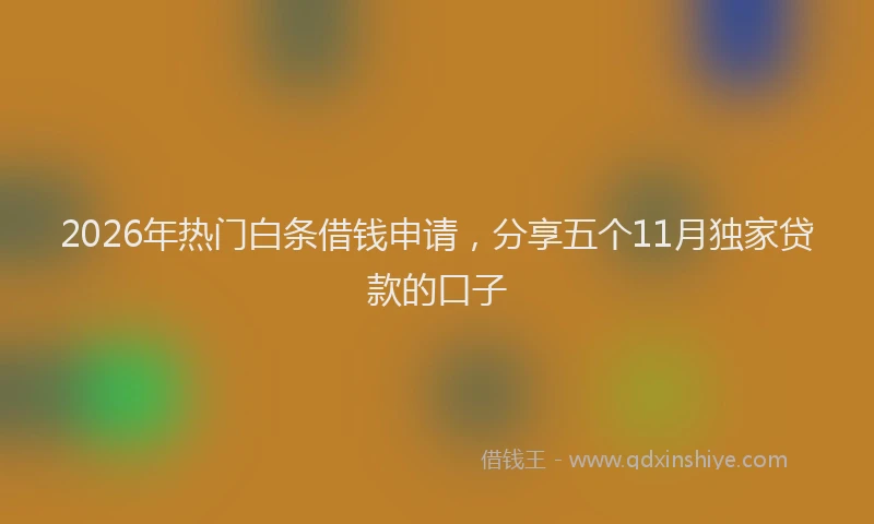 2026年热门白条借钱申请，分享五个11月独家贷款的口子