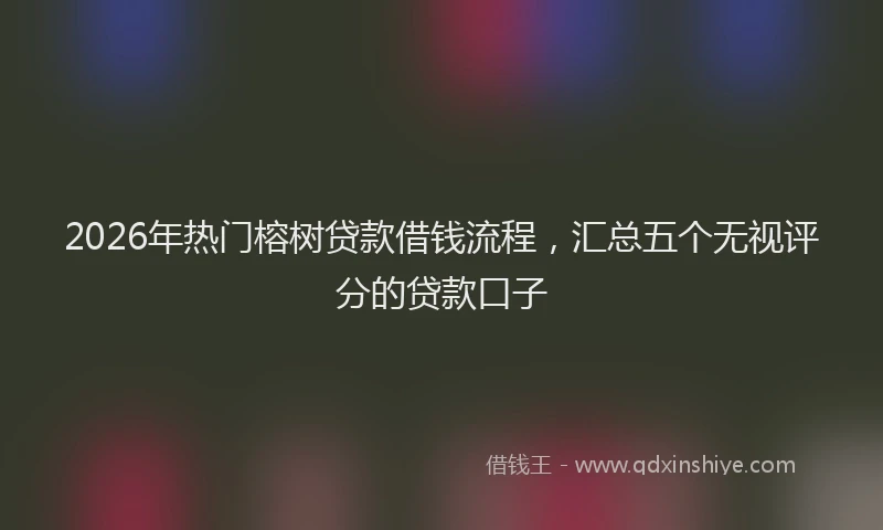 2026年热门榕树贷款借钱流程，汇总五个无视评分的贷款口子