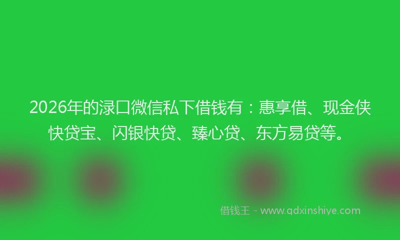 2026年的渌口微信私下借钱有：惠享借、现金侠快贷宝、闪银快贷、臻心贷、东方易贷等。