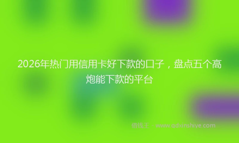 2026年热门用信用卡好下款的口子，盘点五个高炮能下款的平台