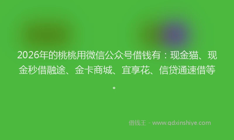 2026年的桃桃用微信公众号借钱有：现金猫、现金秒借融途、金卡商城、宜享花、信贷通速借等。