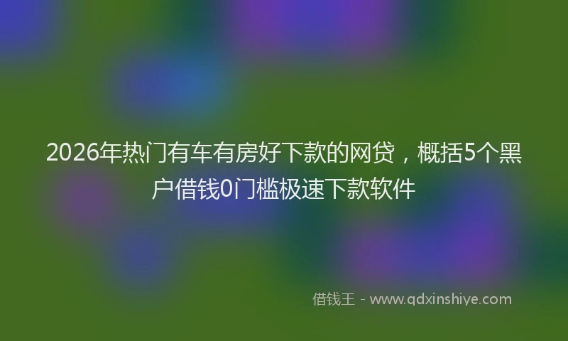 2026年热门有车有房好下款的网贷,概括5个黑户借钱0门槛极速下款软件
