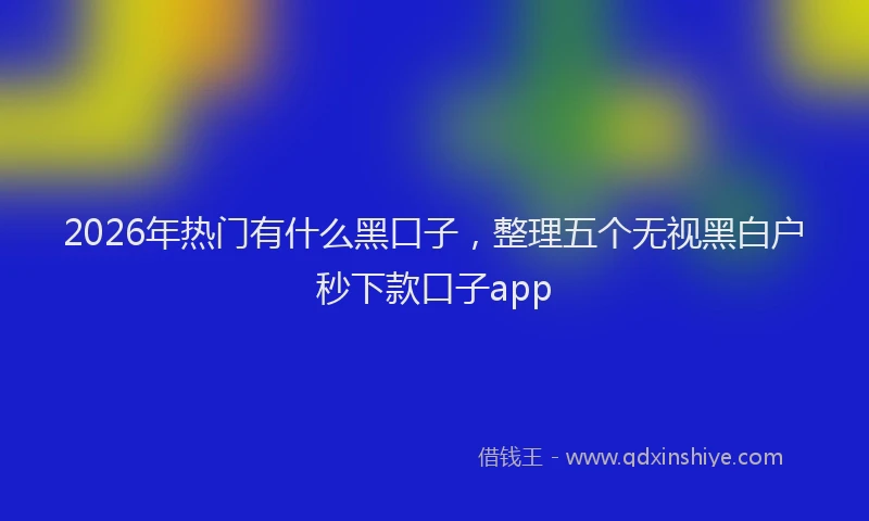 2026年热门有什么黑口子，整理五个无视黑白户秒下款口子app