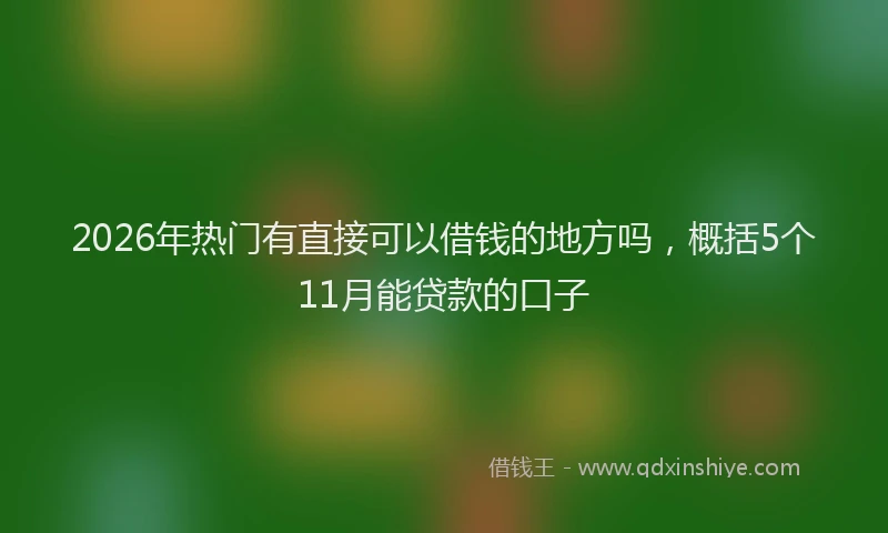 2026年热门有直接可以借钱的地方吗，概括5个11月能贷款的口子