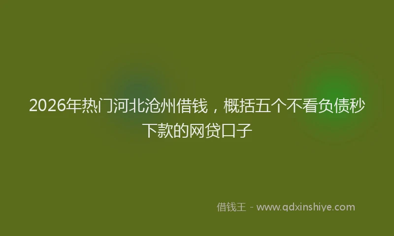 2026年热门河北沧州借钱，概括五个不看负债秒下款的网贷口子