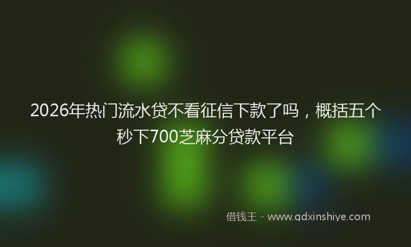 2026年热门流水贷不看征信下款了吗，概括五个秒下700芝麻分贷款平台