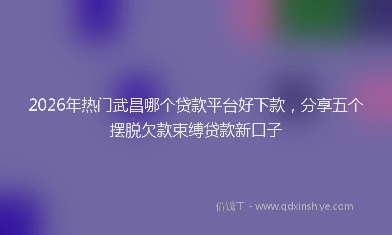 2026年热门武昌哪个贷款平台好下款，分享五个摆脱欠款束缚贷款新口子