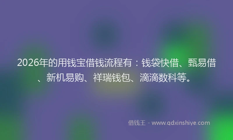 2026年的用钱宝借钱流程有：钱袋快借、甄易借、新机易购、祥瑞钱包、滴滴数科等。
