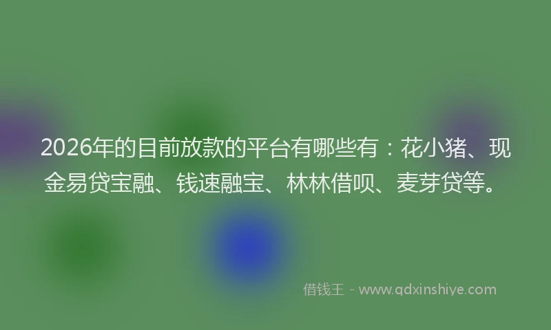 2026年的目前放款的平台有哪些有：花小猪、现金易贷宝融、钱速融宝、林林借呗、麦芽贷等。