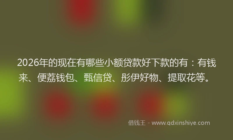 2026年的现在有哪些小额贷款好下款的有：有钱来、便荔钱包、甄信贷、彤伊好物、提取花等。