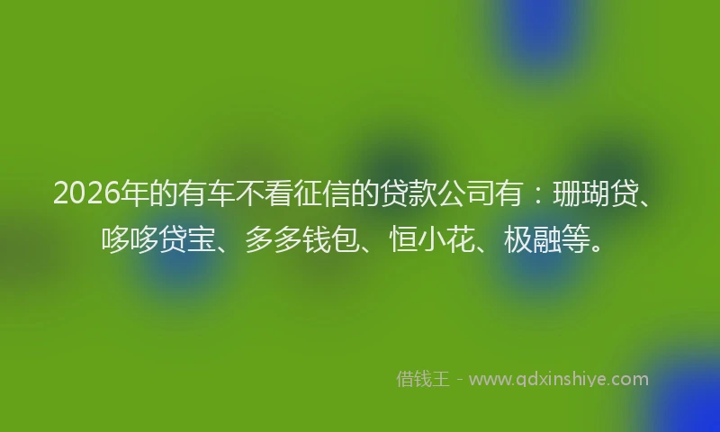 2026年的有车不看征信的贷款公司有：珊瑚贷、哆哆贷宝、多多钱包、恒小花、极融等。