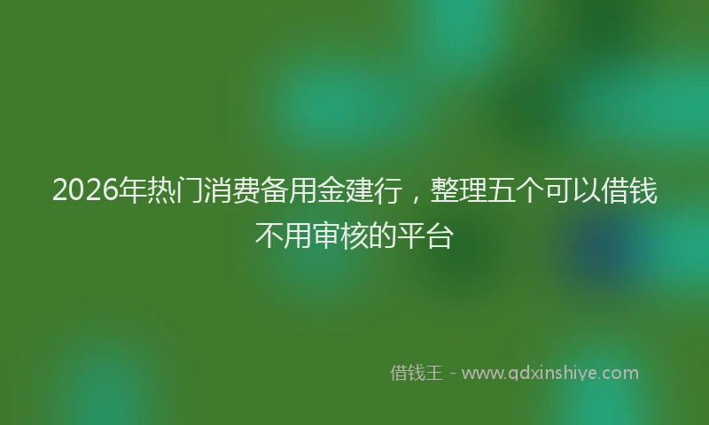 2026年热门消费备用金建行，整理五个可以借钱不用审核的平台