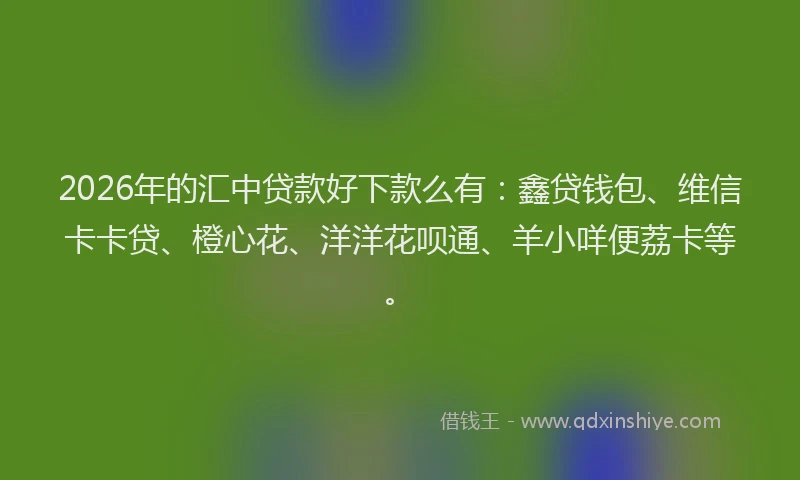 2026年的汇中贷款好下款么有：鑫贷钱包、维信卡卡贷、橙心花、洋洋花呗通、羊小咩便荔卡等。