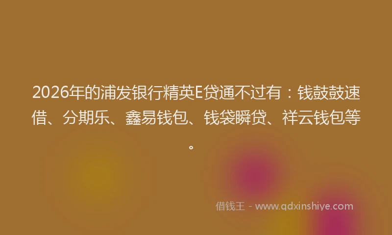 2026年的浦发银行精英E贷通不过有：钱鼓鼓速借、分期乐、鑫易钱包、钱袋瞬贷、祥云钱包等。