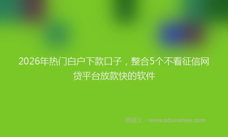 2026年热门白户下款口子，整合5个不看征信网贷平台放款快的软件