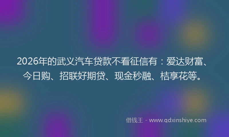 2026年的武义汽车贷款不看征信有:爱达财富、今日购、招联好期贷、现金秒融、桔享花等。