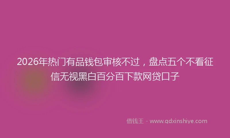 2026年热门有品钱包审核不过，盘点五个不看征信无视黑白百分百下款网贷口子