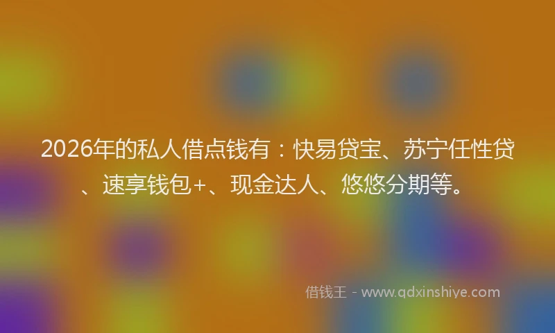 2026年的私人借点钱有：快易贷宝、苏宁任性贷、速享钱包+、现金达人、悠悠分期等。