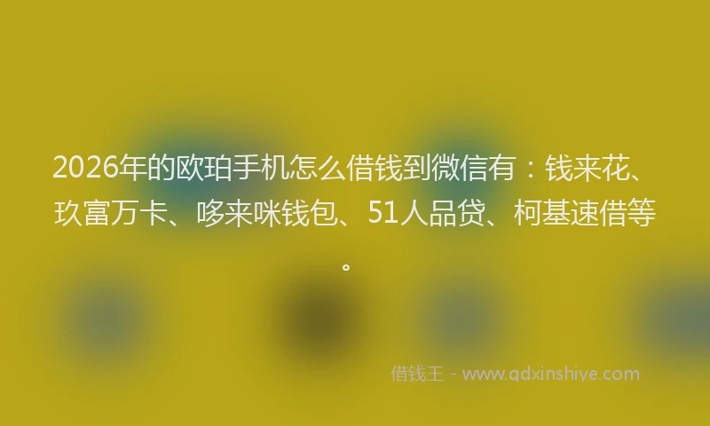2026年的欧珀手机怎么借钱到微信有：钱来花、玖富万卡、哆来咪钱包、51人品贷、柯基速借等。