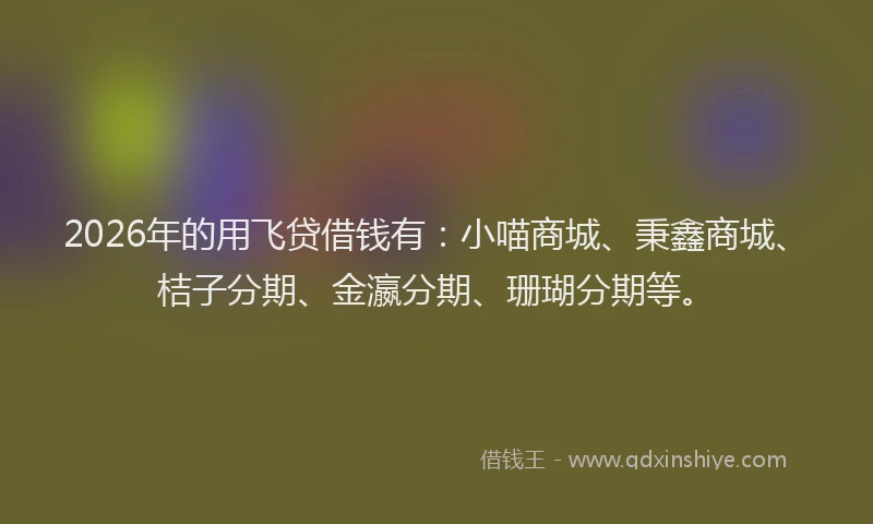 2026年的用飞贷借钱有：小喵商城、秉鑫商城、桔子分期、金瀛分期、珊瑚分期等。