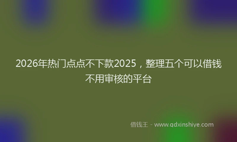 2026年热门点点不下款2025，整理五个可以借钱不用审核的平台