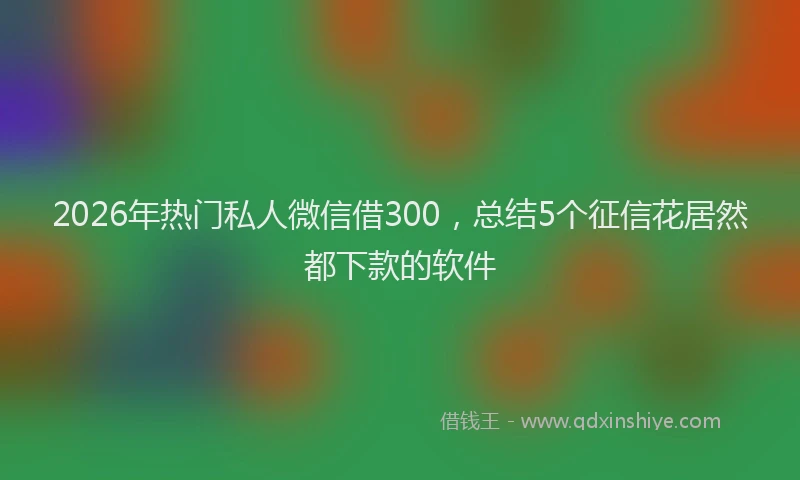 2026年热门私人微信借300，总结5个征信花居然都下款的软件