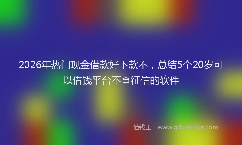 2026年热门现金借款好下款不，总结5个20岁可以借钱平台不查征信的软件