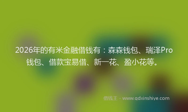 2026年的有米金融借钱有：森森钱包、瑞泽Pro钱包、借款宝易借、新一花、盈小花等。