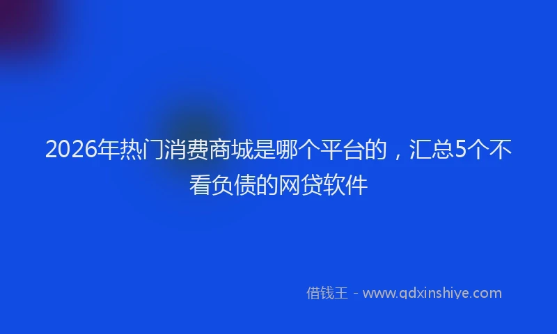 2026年热门消费商城是哪个平台的，汇总5个不看负债的网贷软件