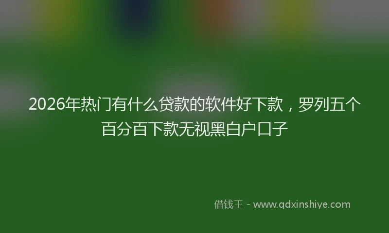 2026年热门有什么贷款的软件好下款，罗列五个百分百下款无视黑白户口子