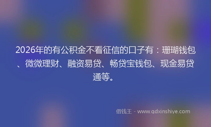 2026年的有公积金不看征信的口子有：珊瑚钱包、微微理财、融资易贷、畅贷宝钱包、现金易贷通等。