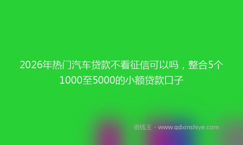 2026年热门汽车贷款不看征信可以吗，整合5个1000至5000的小额贷款口子