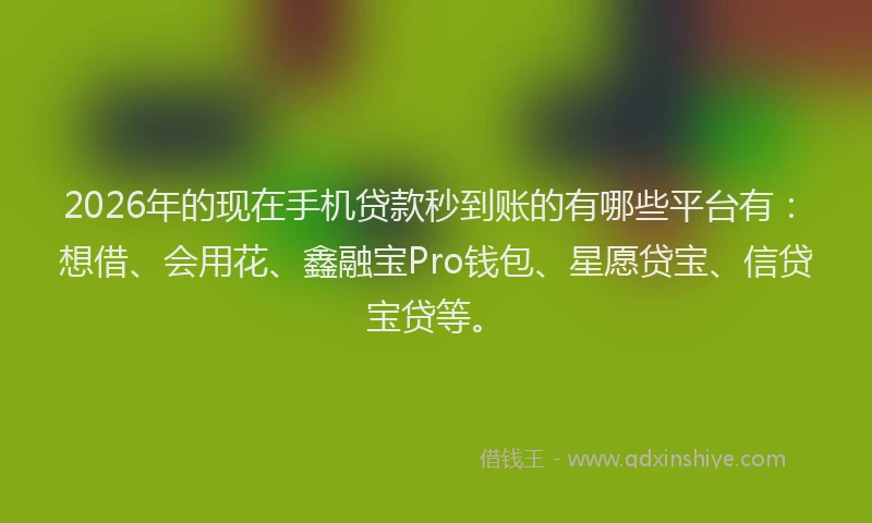 2026年的现在手机贷款秒到账的有哪些平台有：想借、会用花、鑫融宝Pro钱包、星愿贷宝、信贷宝贷等。