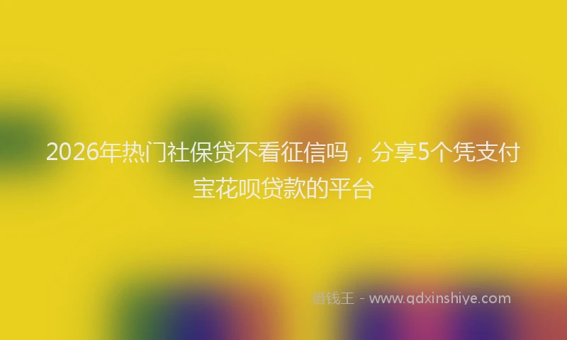 2026年热门社保贷不看征信吗,分享5个凭支付宝花呗贷款的平台