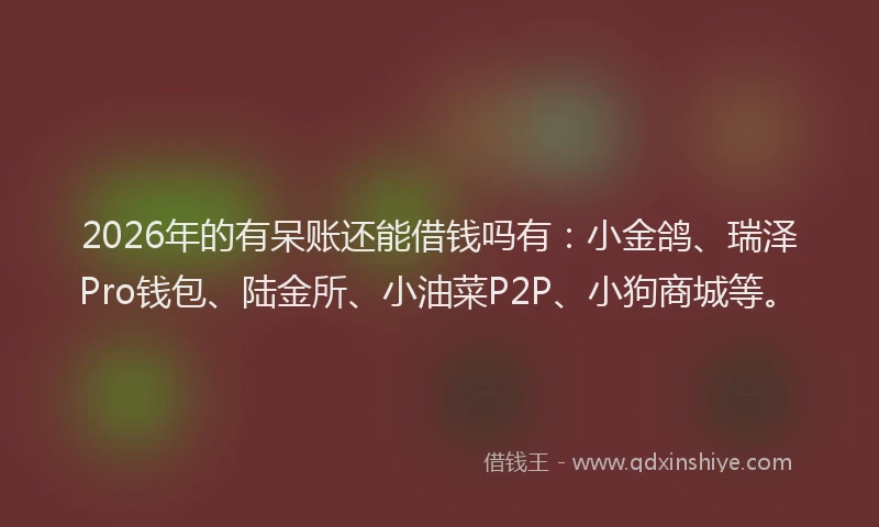 2026年的有呆账还能借钱吗有：小金鸽、瑞泽Pro钱包、陆金所、小油菜P2P、小狗商城等。
