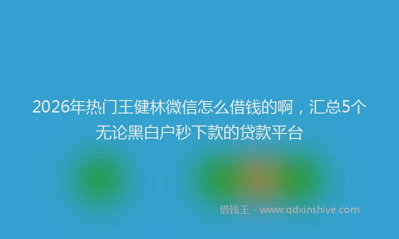 2026年热门王健林微信怎么借钱的啊，汇总5个无论黑白户秒下款的贷款平台