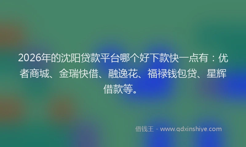 2026年的沈阳贷款平台哪个好下款快一点有：优者商城、金瑞快借、融逸花、福禄钱包贷、星辉借款等。