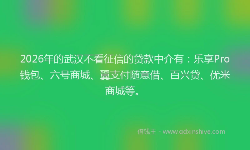 2026年的武汉不看征信的贷款中介有：乐享Pro钱包、六号商城、翼支付随意借、百兴贷、优米商城等。