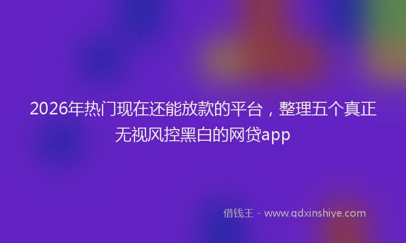 2026年热门现在还能放款的平台，整理五个真正无视风控黑白的网贷app