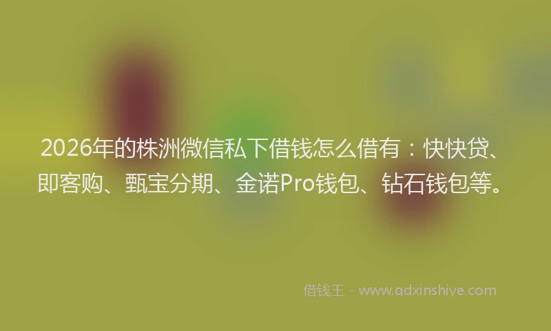 2026年的株洲微信私下借钱怎么借有：快快贷、即客购、甄宝分期、金诺Pro钱包、钻石钱包等。